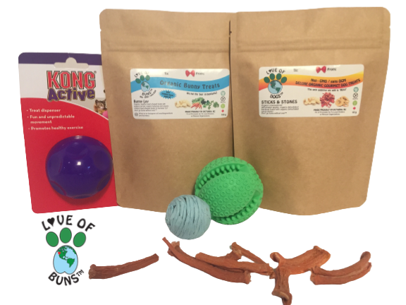 Bunny Care Boxes - Something for Every Bunny!
