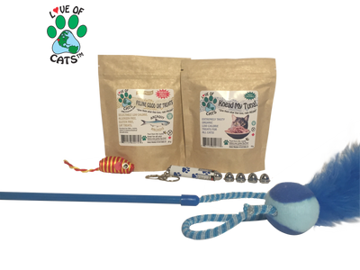 Kitten Care Boxes - Celebrate safely at home with your new furry member!