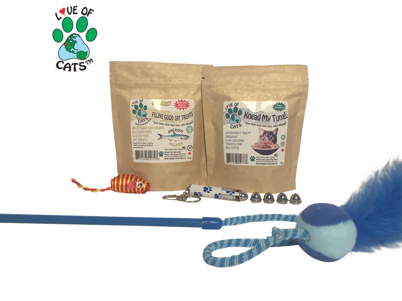 Kitten Care Boxes - Celebrate safely at home with your new furry member!