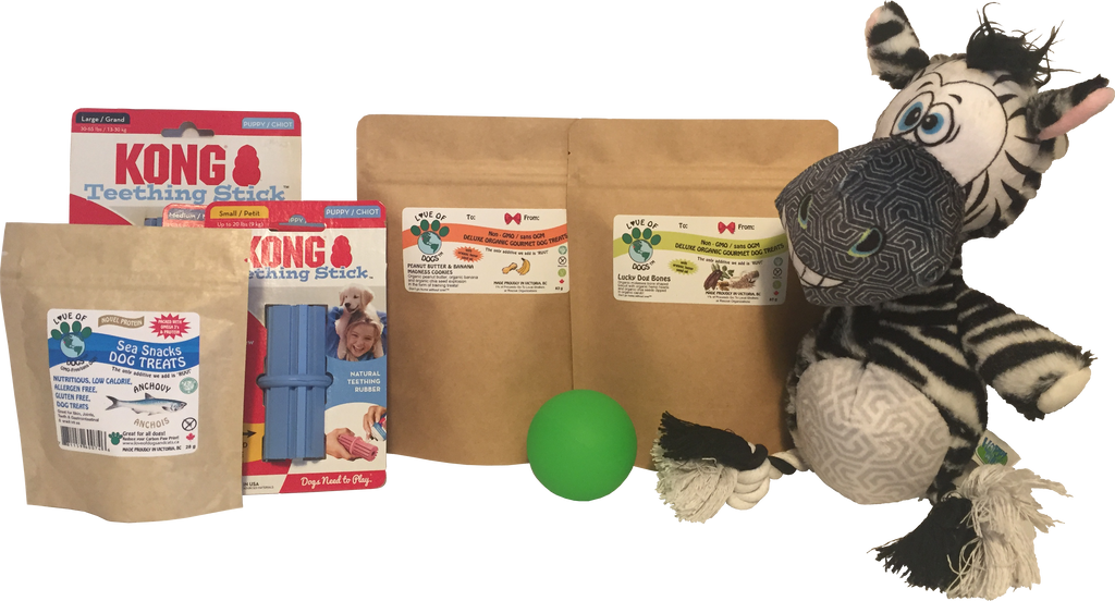 Puppy Care Boxes - Celebrate Pure Joy with your NEW puppy!